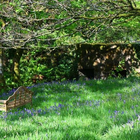 Lower Willsworthy Cottage タヴィストック エクステリア 写真