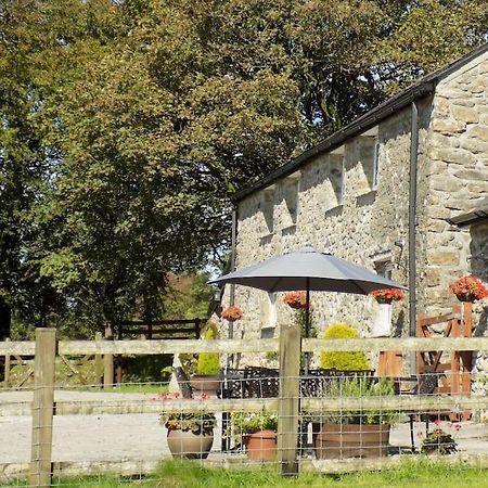 Lower Willsworthy Cottage タヴィストック エクステリア 写真