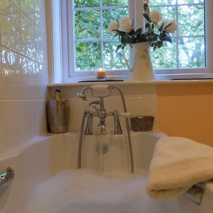 Lower Willsworthy Cottage タヴィストック エクステリア 写真