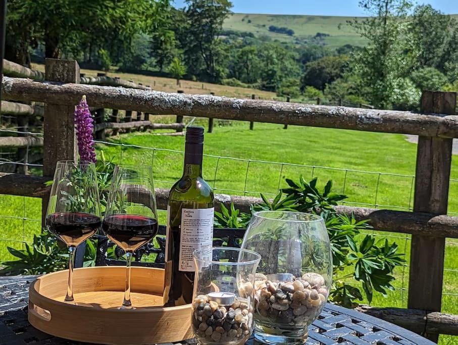 Lower Willsworthy Cottage タヴィストック エクステリア 写真