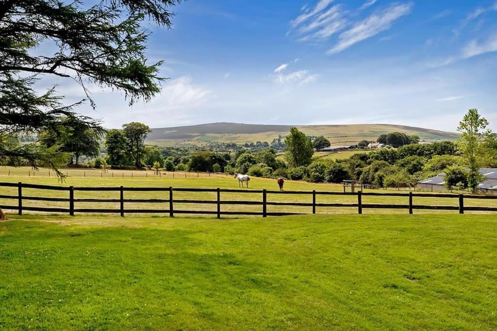 Lower Willsworthy Cottage タヴィストック エクステリア 写真